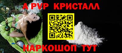 крисы Кизляр