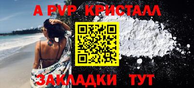 крисы Кизляр